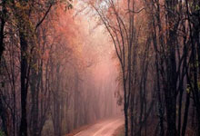 爱德华兹30分库里23分 森林狼大胜勇士4连胜.