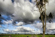 WTT重庆冠军赛 林诗栋3比2战胜安宰贤晋级八强央视体育.