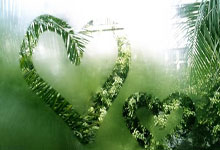 俄越混血球员维克托-黎随越南国奥来华，助队战平韩国U.